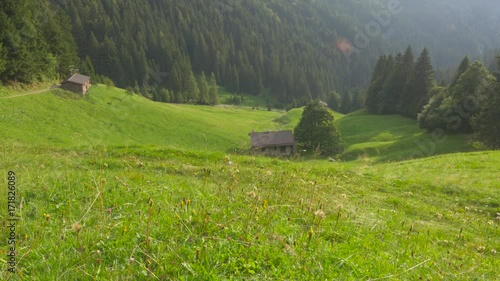 Stone Cottages in a Wild Alpine Valley and Forest in Italy photo