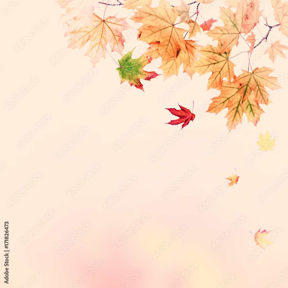 Fototapeta premium Autumn vintage background