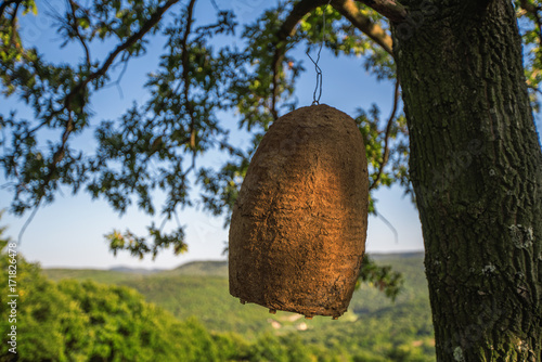 Large beehive house on a tree in the forest