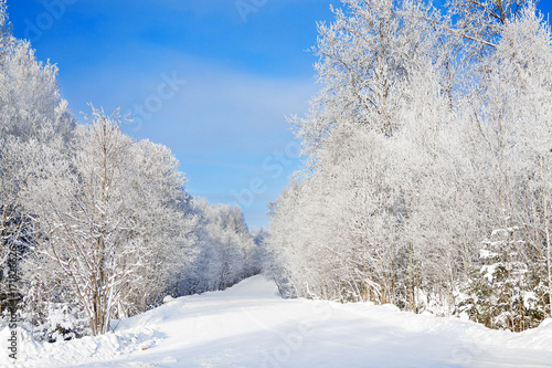 winter rural landscape with forest,snow,road and blue sky on a clear day. © yanikap