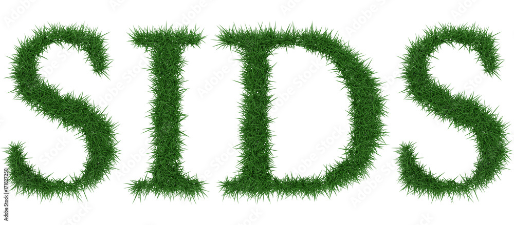 Sids - 3D rendering fresh Grass letters isolated on whhite background. Sids - 3D rendering fresh Grass letters isolated on whhite background.