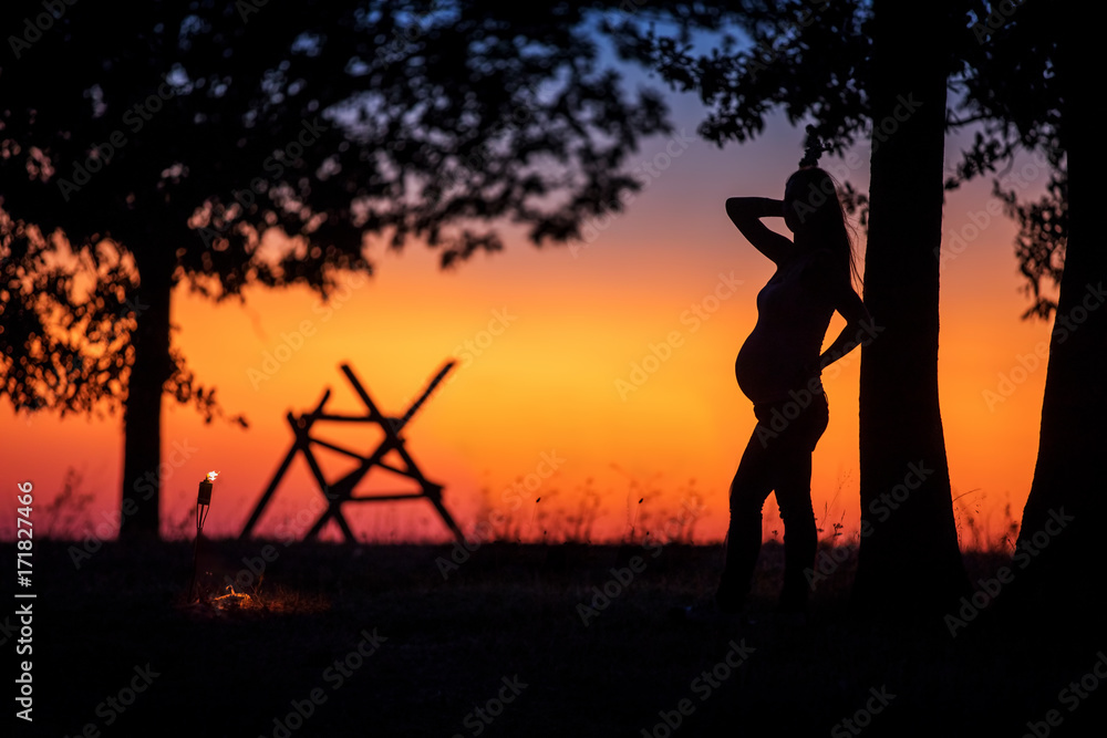 Silhouette of a pregnant girl in a field at sunset