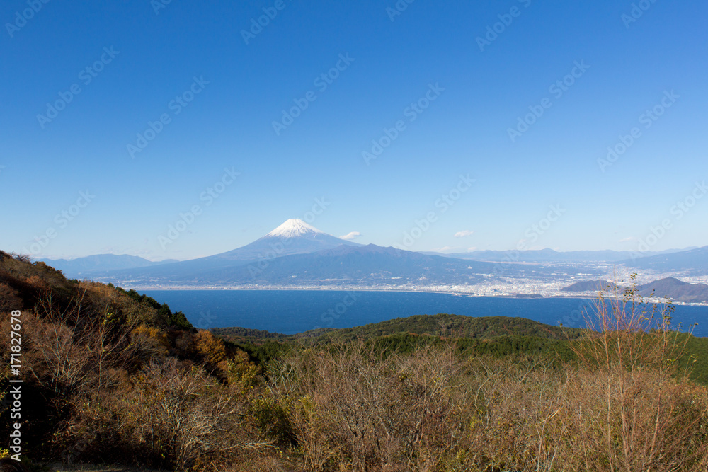 Fototapeta premium だるま山高原からの富士山 
