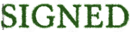 Signed - 3D rendering fresh Grass letters isolated on whhite background.