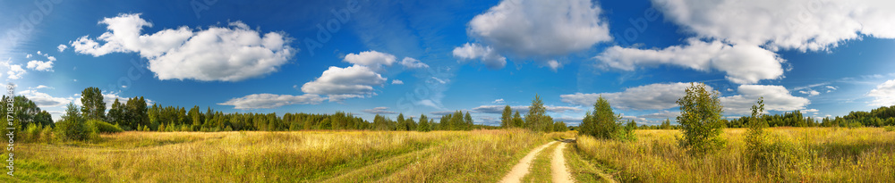 panorama rural summer landscape with a road,field and forest. panorama rural summer landscape with a road,field and forest.