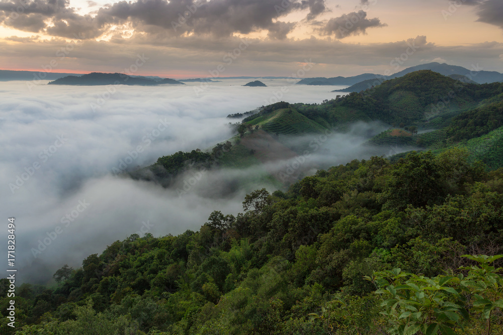 Fog Landscape , Sunrise mornings landscape , Nongkhai Thailand