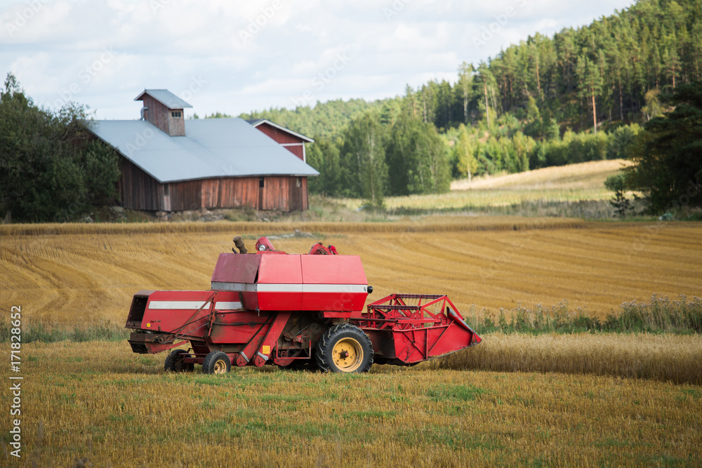 Fototapeta premium Combine harvester on a field