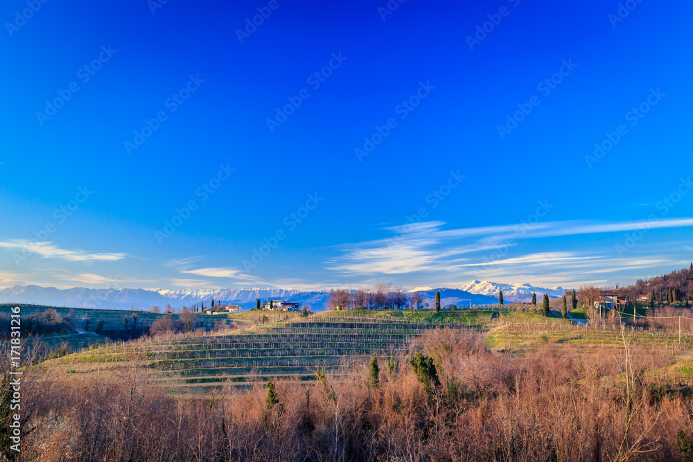 Sunset in the vineyards of Rosazzo Sunset in the vineyards of Rosazzo