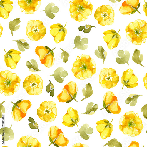 Seamless pattern of watercolor yellow flower isolate on white background. Wildflowers for wedding cards.