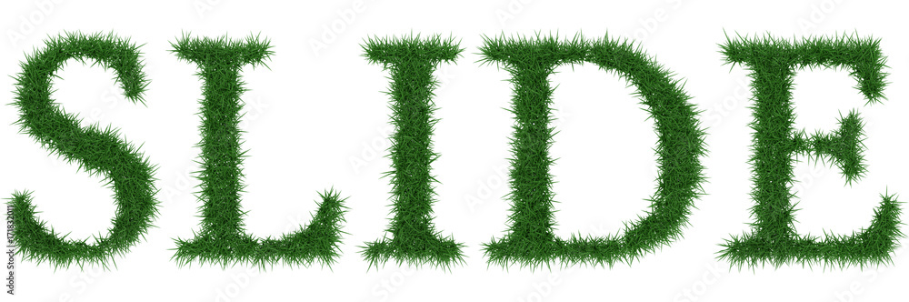 Slide - 3D rendering fresh Grass letters isolated on whhite background. Slide - 3D rendering fresh Grass letters isolated on whhite background.