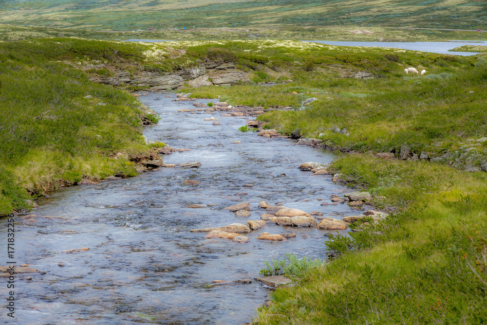 River flowing in the Rondane National park in Norway - 1