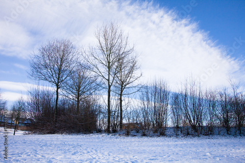 snow landscape in winter
