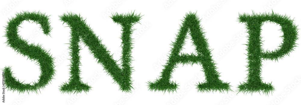 Snap - 3D rendering fresh Grass letters isolated on whhite background. Snap - 3D rendering fresh Grass letters isolated on whhite background.