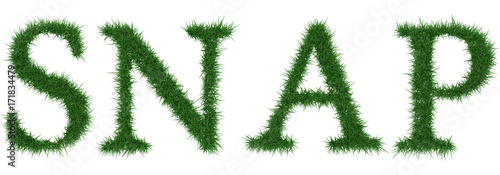 Snap - 3D rendering fresh Grass letters isolated on whhite background.