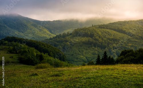 misty morning in green mountains. beautiful nature scenery with low clouds