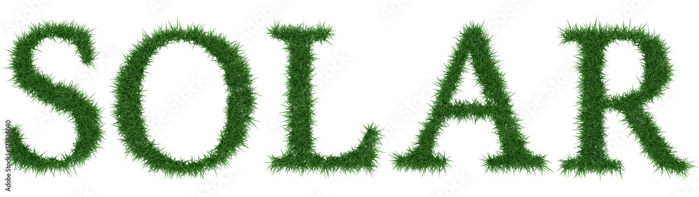 Solar - 3D rendering fresh Grass letters isolated on whhite background.