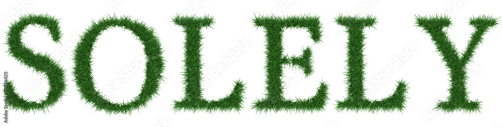 Solely - 3D rendering fresh Grass letters isolated on whhite background. Solely - 3D rendering fresh Grass letters isolated on whhite background.