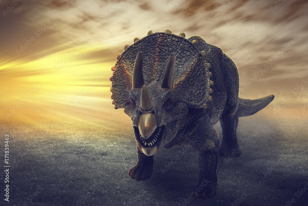 Obraz premium dinozaury - dinozaury Triceratopsa bawią się obrazowaniem cyfrowym jak prawdziwe. ze sceną dramatyczną.