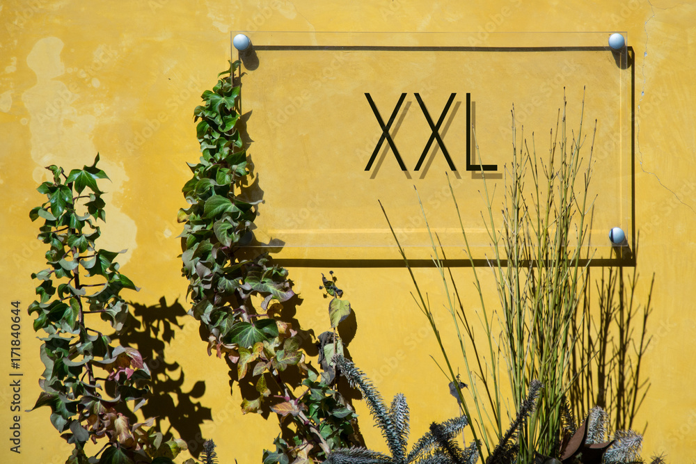 Obraz premium Schild 233 - XXL