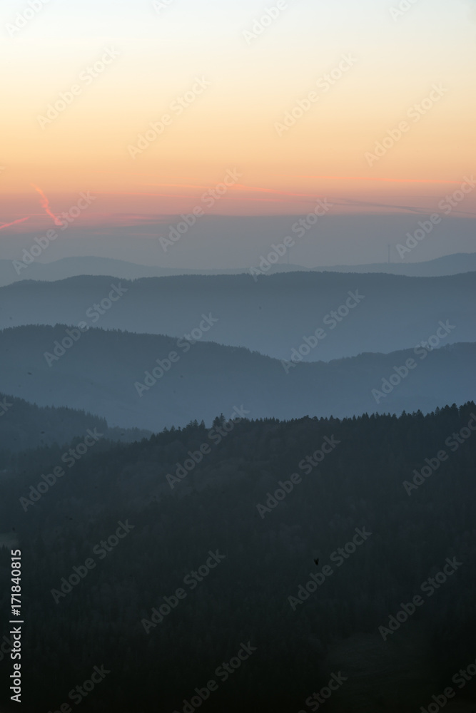 Obraz premium Schwarzwald