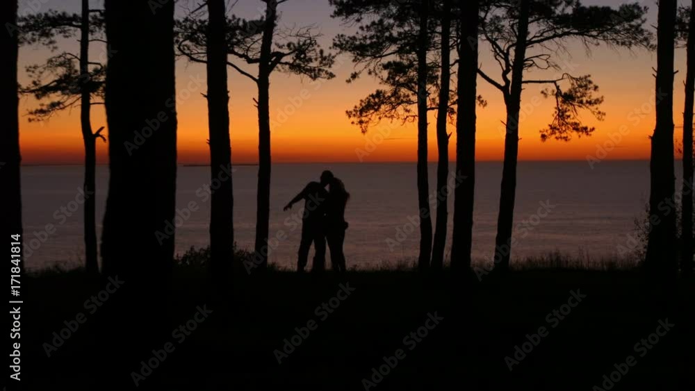 silhouettes of people at sunset trees and sea silhouettes of people at sunset trees and sea