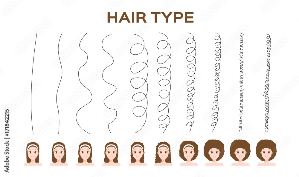 Hair Types cartoon / vector illustration Stock Vector | Adobe Stock