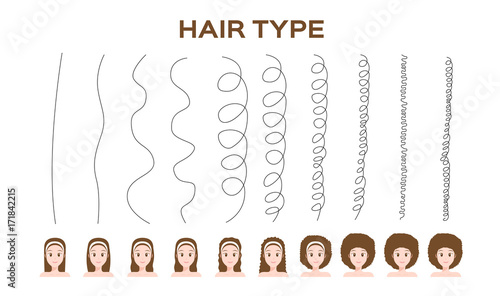Hair Types cartoon / vector illustration