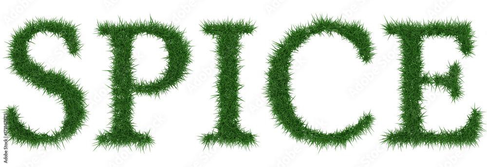 Spice - 3D rendering fresh Grass letters isolated on whhite background. Spice - 3D rendering fresh Grass letters isolated on whhite background.