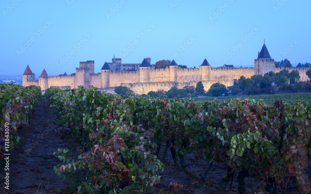 Vista de Carcassonne al amanecer desde un viñedo cercano. Francia