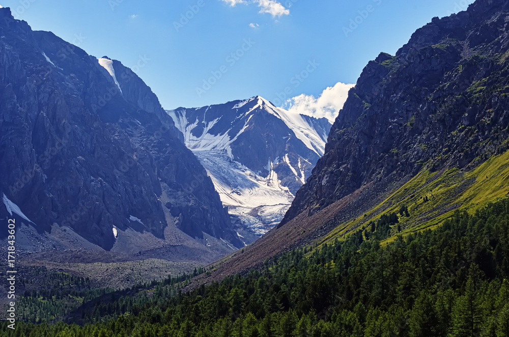 Beautiful landscape of a sunny mountain valley with a clear blue sky, glaciers, rocks and cedar forest growing on the slopes of the mountains near the Aktru river