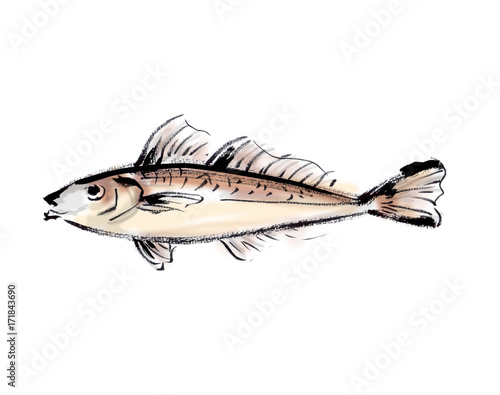 鱚 Stock イラスト Adobe Stock 鱚 Stock イラスト Adobe Stock