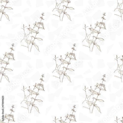 Vector floral seamless pattern with wild meadow  herbs . Thin delicate line silhouettes in small bouquets on geometric background.
