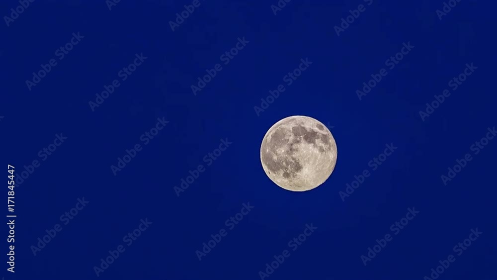 Full Bright Halloween Moon Moves On Blue Background Full Bright Halloween Moon Moves On Blue Background