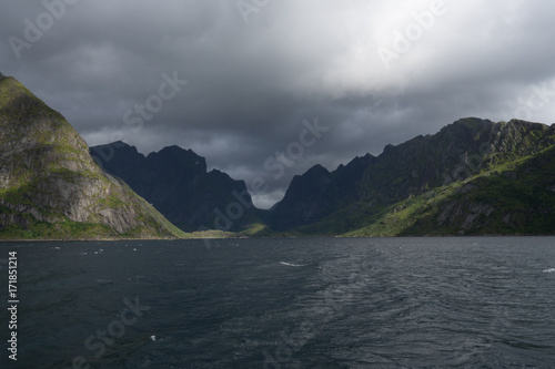 Reine fjord