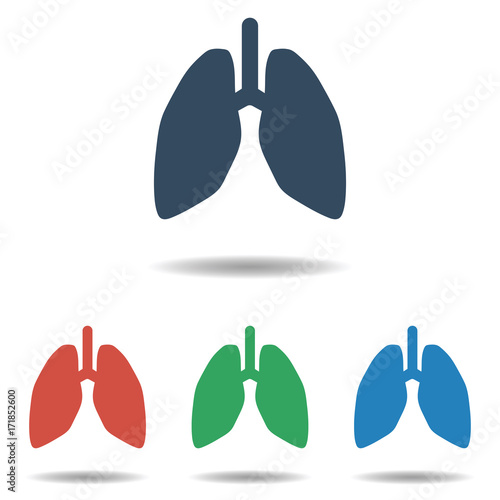 Human Lungs icon set - simple flat design isolated on white background, vector