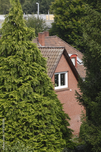 Wohnhaus  Einfamilienhaus  B  ume