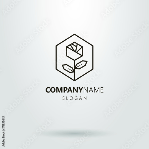 Black and white  vector abstract line art geometric rose logo