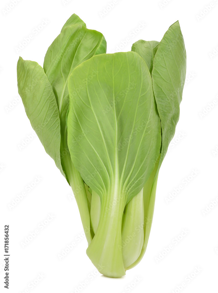 Pak Choi isolated on white background Pak Choi isolated on white background