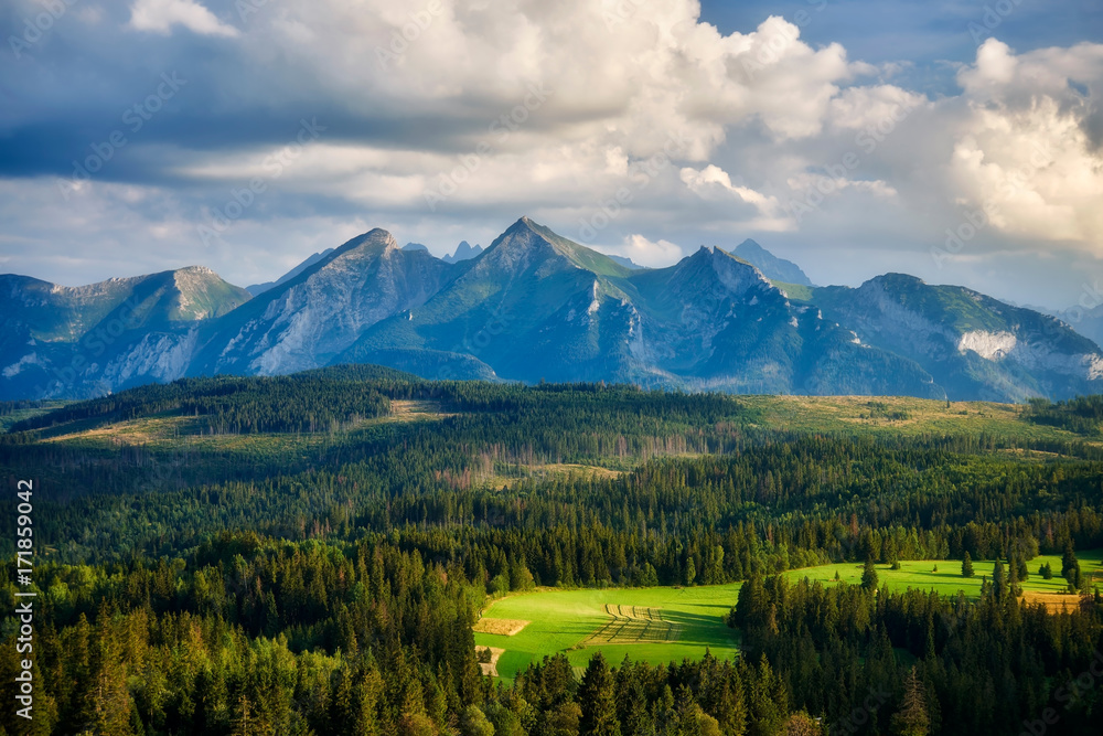Panorama of Tatra Mountains in summer, Poland