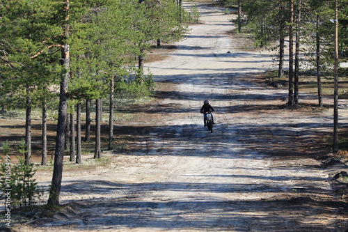 a walk in the woods