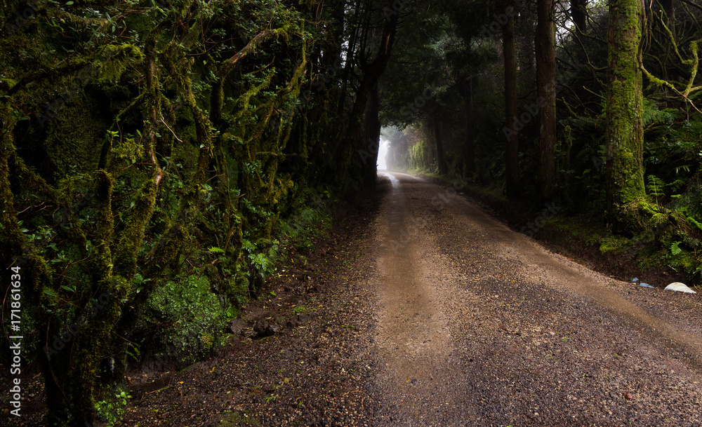 Fototapeta premium Light in the end of the tunnel
