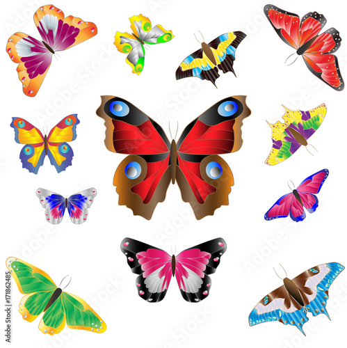colorful bright butterflies set on white