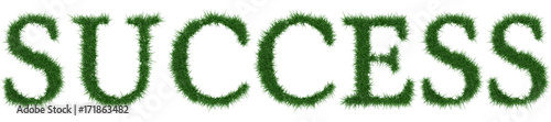 Success - 3D rendering fresh Grass letters isolated on whhite background.