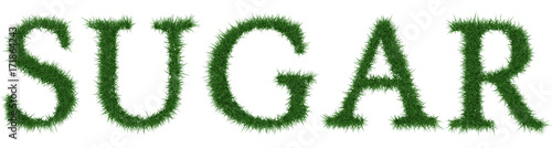 Sugar - 3D rendering fresh Grass letters isolated on whhite background.