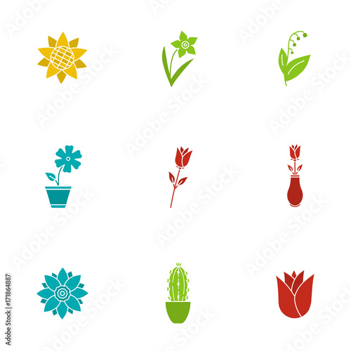 Flowers glyph color icon set