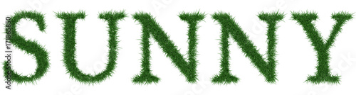 Sunny - 3D rendering fresh Grass letters isolated on whhite background.