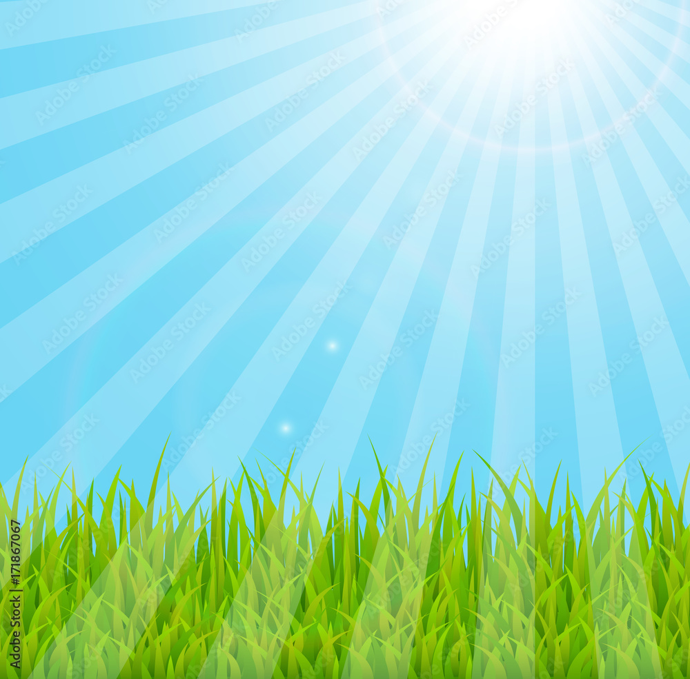 Obraz premium Vintage Sunburst Grassline Background