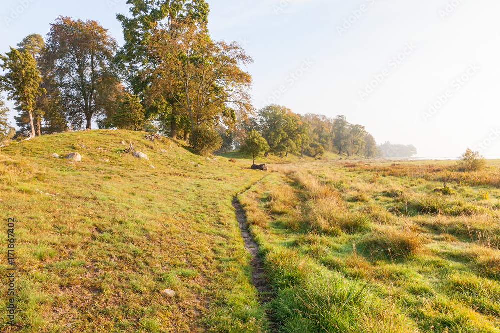 Fototapeta premium Path on a meadow with hills