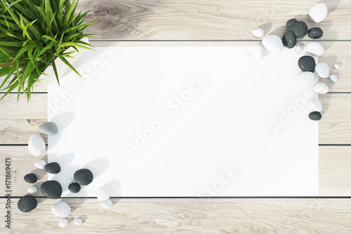 Piece of paper on a table, a plant