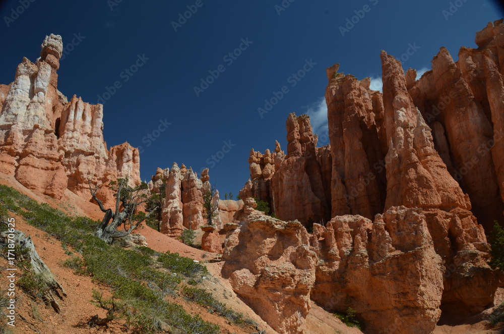 Bryce Canyon